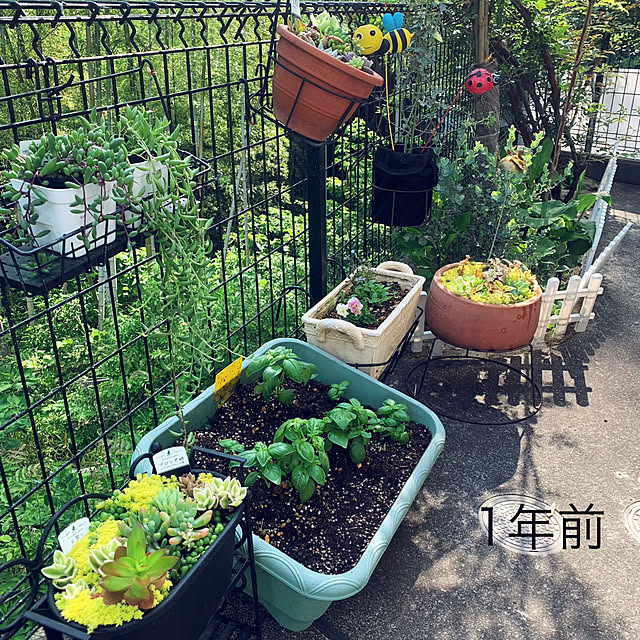 kittyさんの部屋