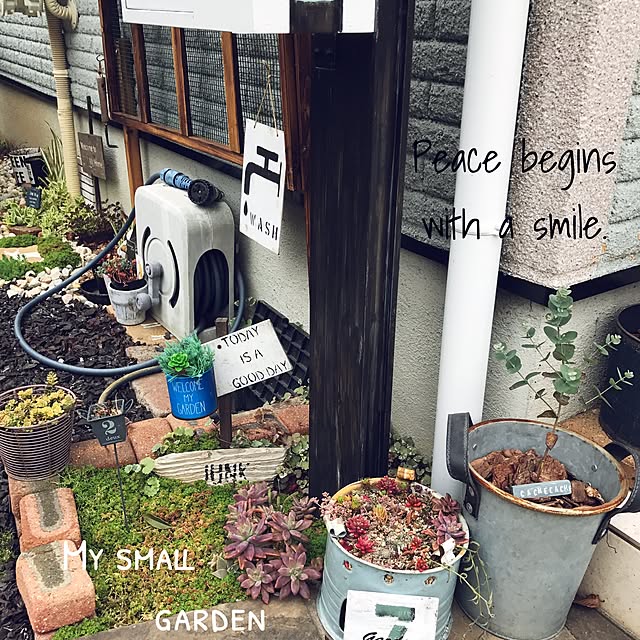 hirari38さんの実例写真
