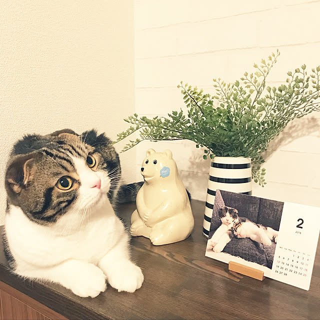 tansukeさんの実例写真