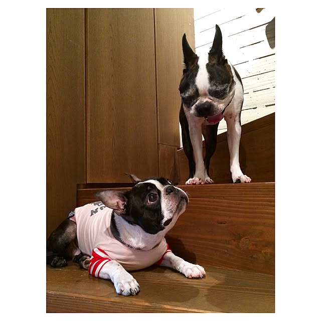 naoko-.-tさんの実例写真