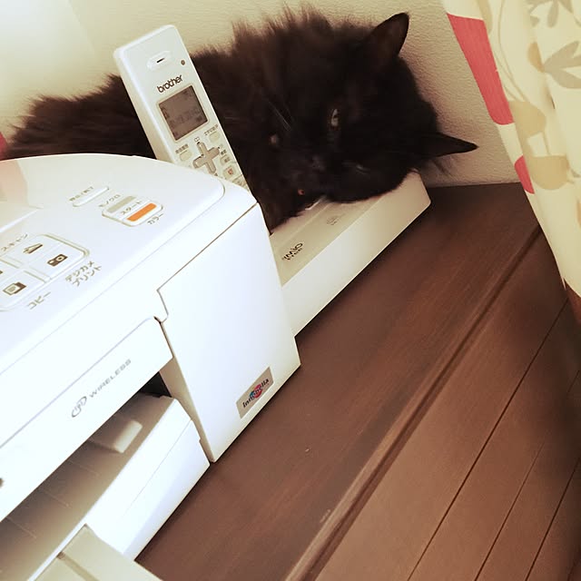yuu_..さんの実例写真