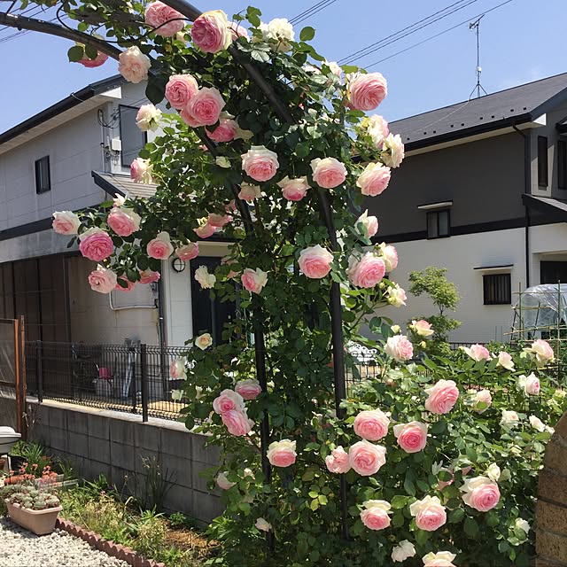 masuminさんの実例写真