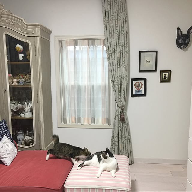 yuchiさんの実例写真