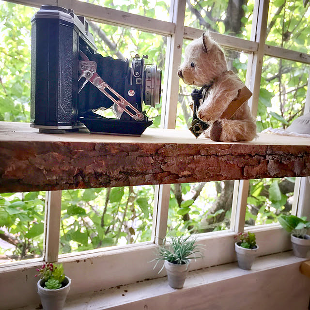 RIERINさんの実例写真