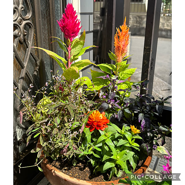 Smilkazuさんの部屋