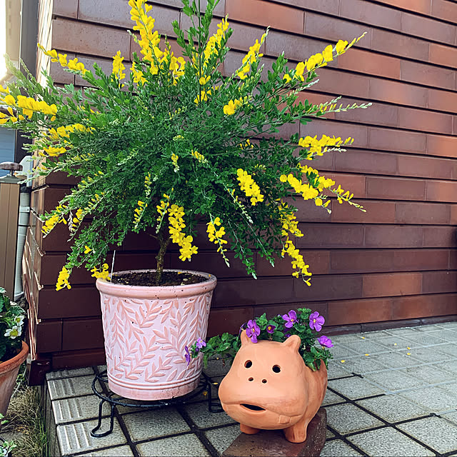 RAMさんの実例写真