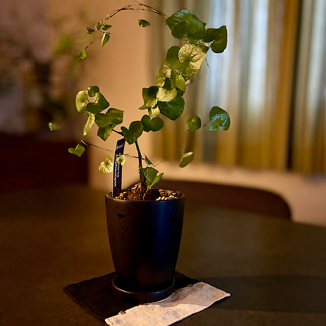 nao.naoさんの部屋