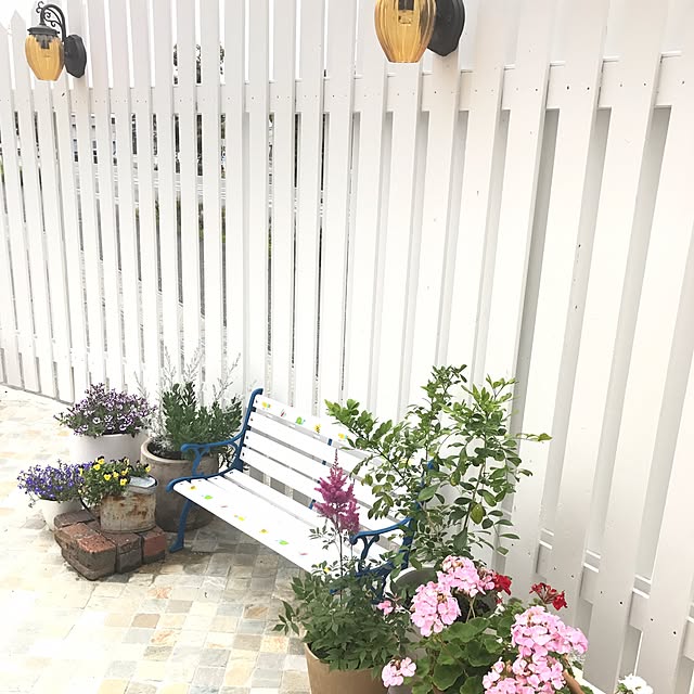 OldTreeさんの実例写真