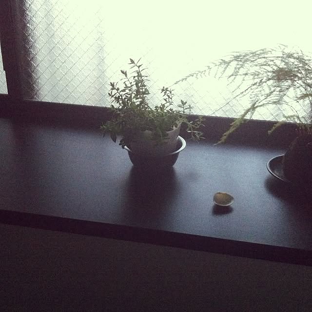 huu.さんの実例写真