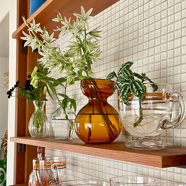 nobikoさんの部屋