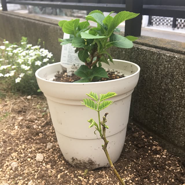 takaさんの実例写真