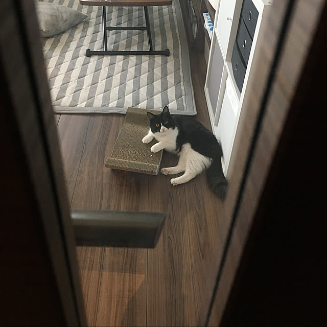 yonejiさんの実例写真