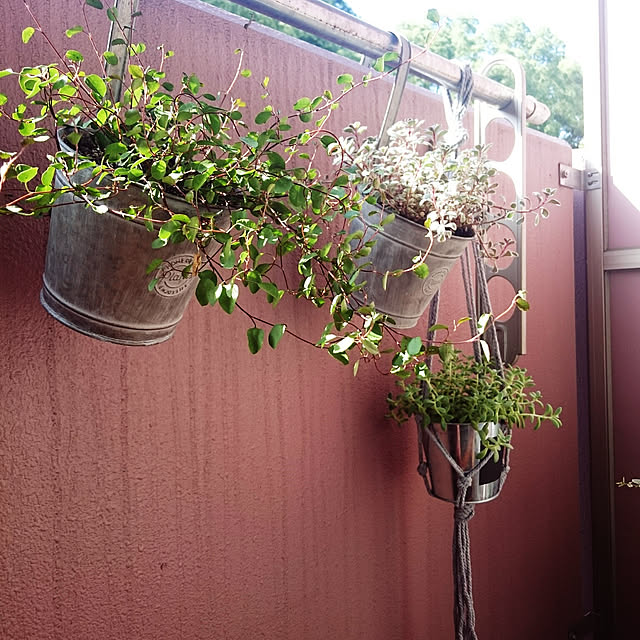 sachiy028さんの実例写真