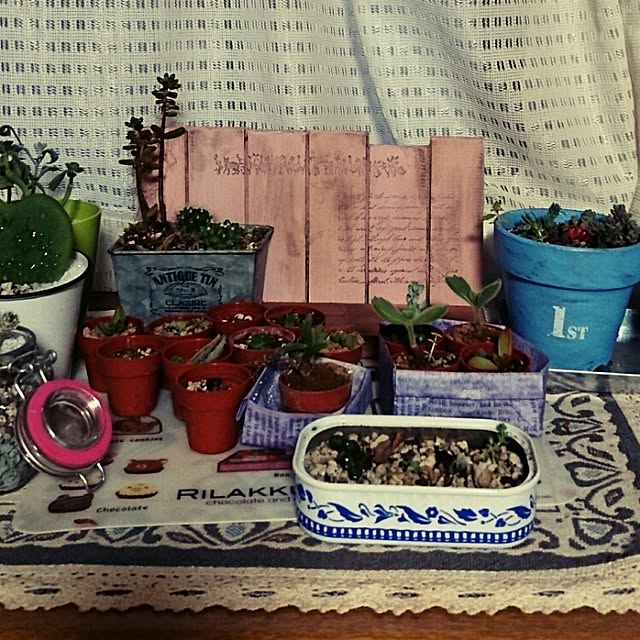 Kaoriさんの実例写真