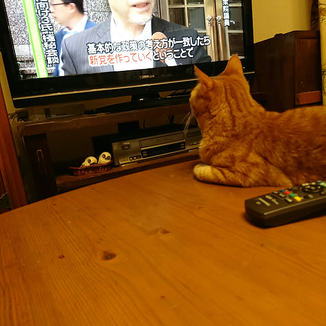 okyosan101さんの実例写真