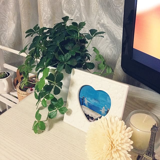 mocaさんの実例写真
