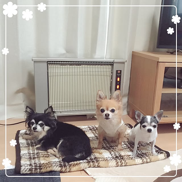 Emiさんの実例写真