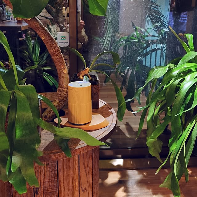 milkyさんの実例写真