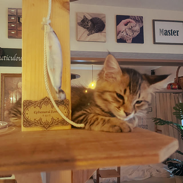 Mさんの部屋