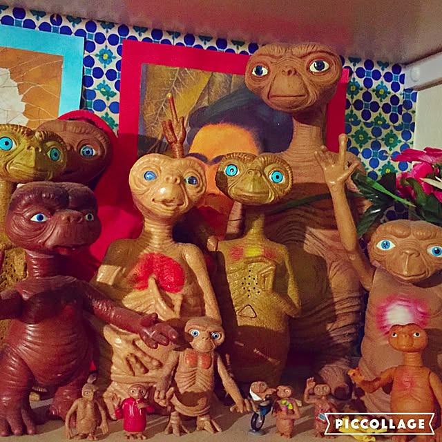 Shinobuさんの実例写真