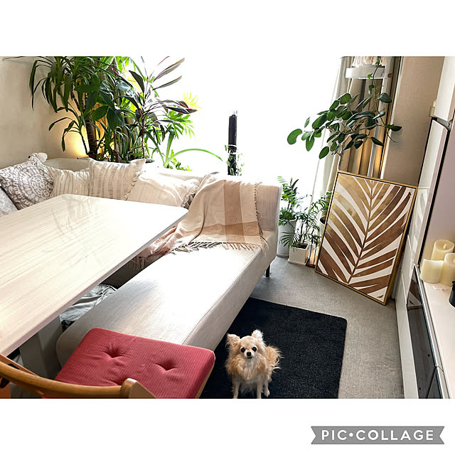 Emafuさんの実例写真