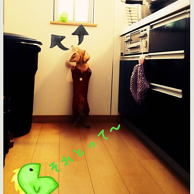 kaorin521さんの実例写真