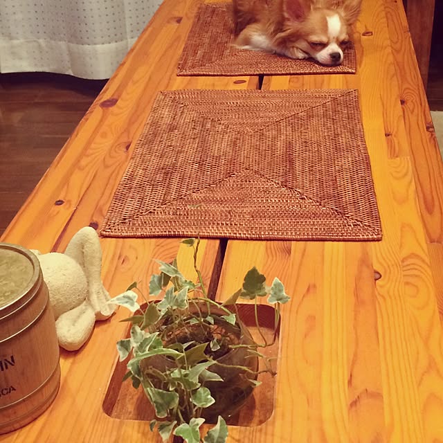 madoringoさんの実例写真