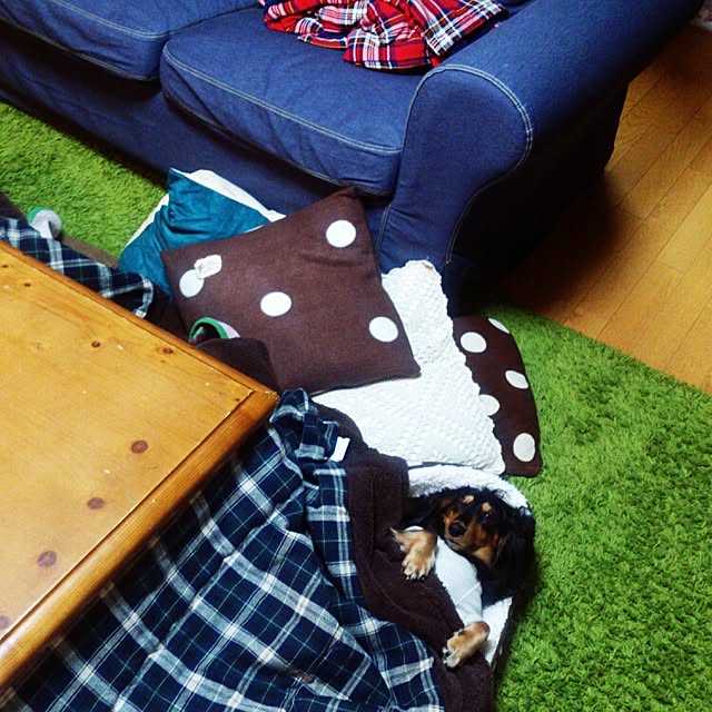 minaさんの実例写真