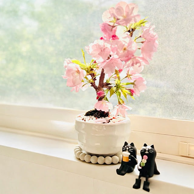 tocchiさんの部屋