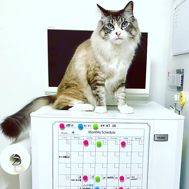 masyacanonさんの実例写真