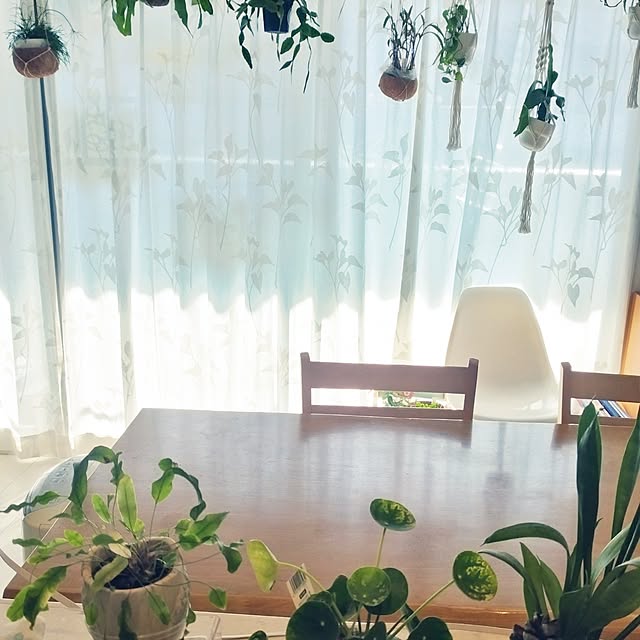 hiromimiさんの部屋