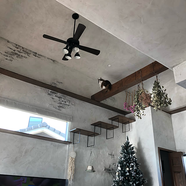 hotanekohouseさんの実例写真