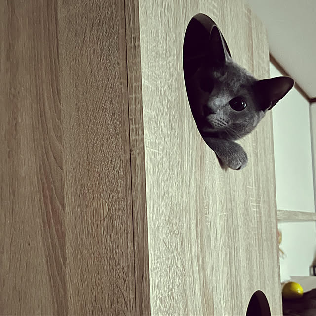 kyonさんの実例写真