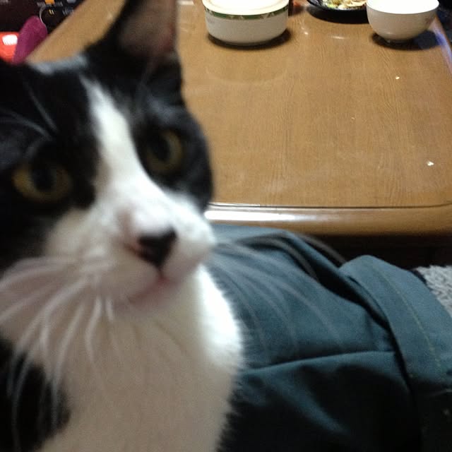 black.666さんの実例写真