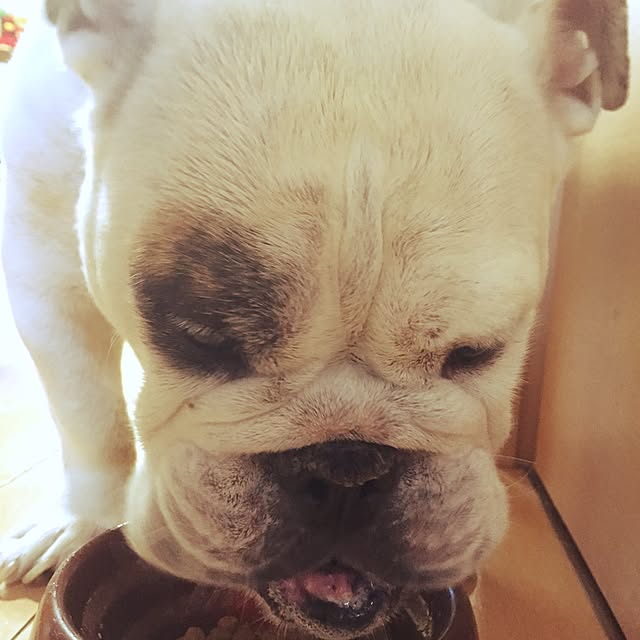 Masamiさんの実例写真