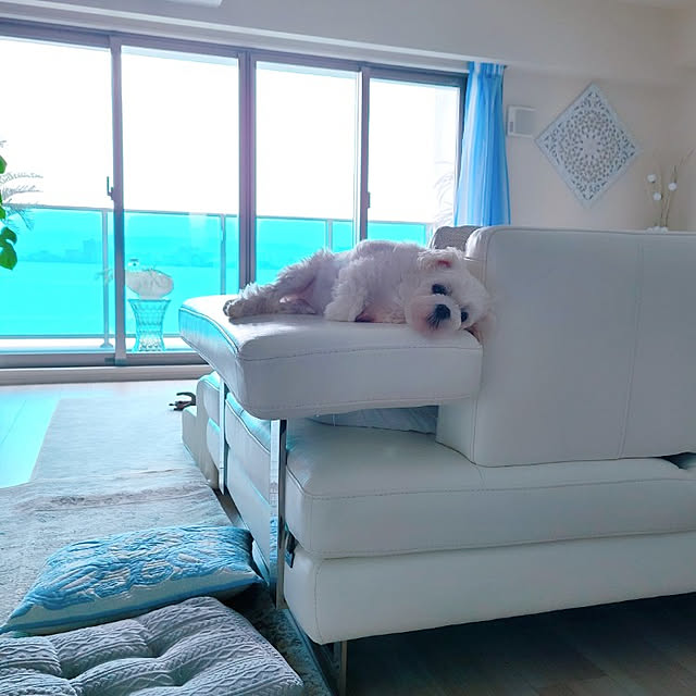 yuchanさんの実例写真