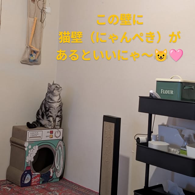 lovepeaceさんの実例写真