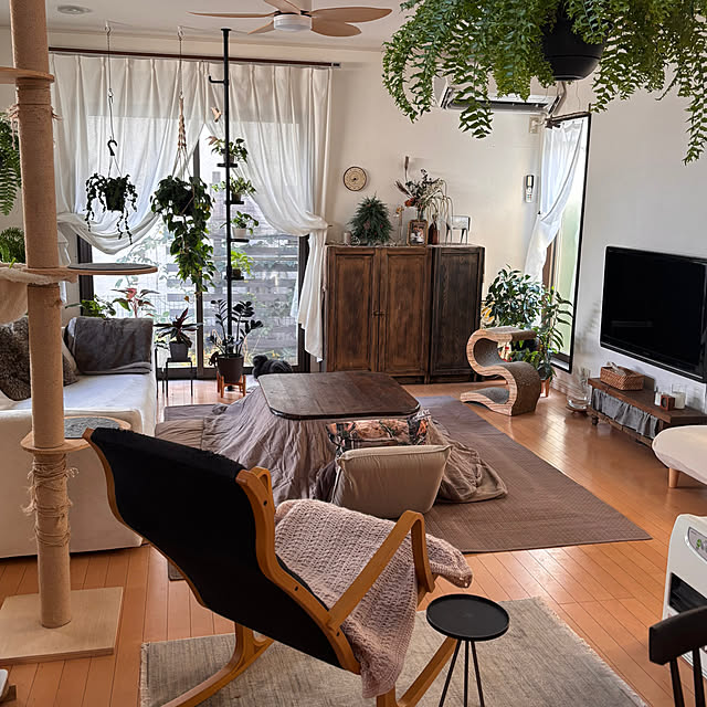 greycatsさんの実例写真