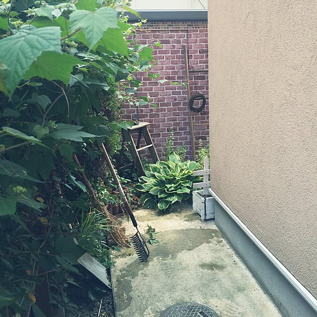 Momoさんの実例写真