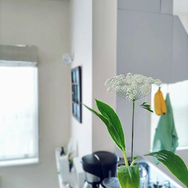 Haさんの部屋