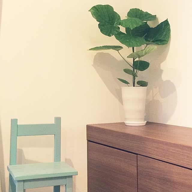 orangeteaさんの実例写真