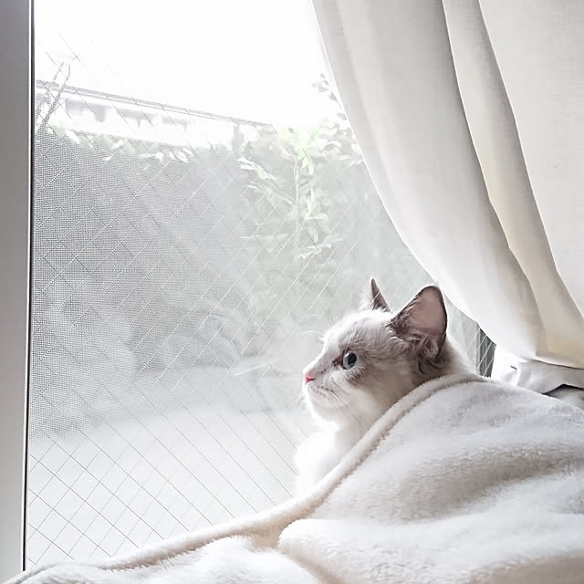 sumishouseさんの実例写真