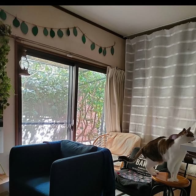 mori_6_12さんの実例写真