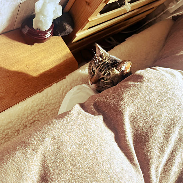 Mさんの実例写真