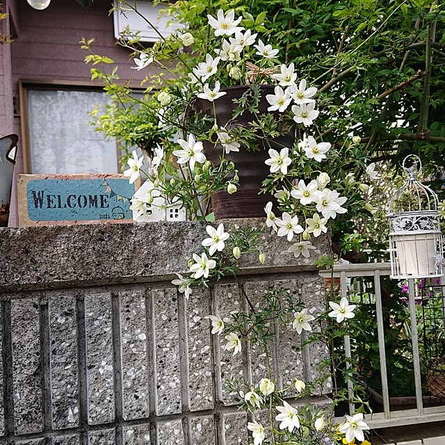 taeko0779さんの実例写真