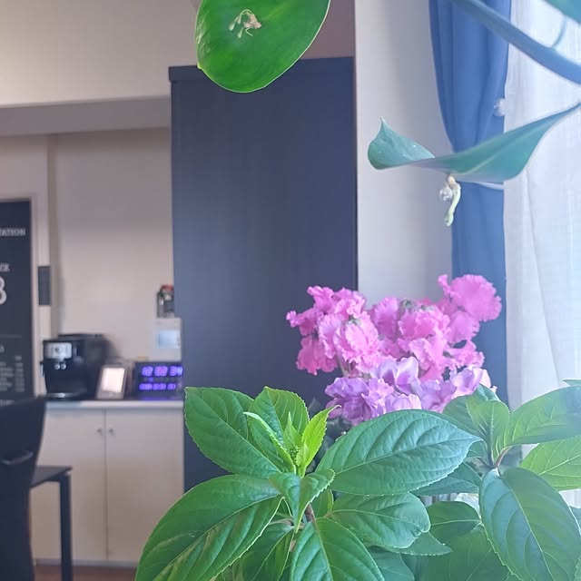 NOAHさんの実例写真