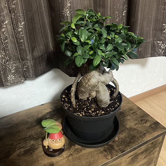 Kenさんの部屋