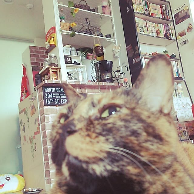 asuさんの実例写真