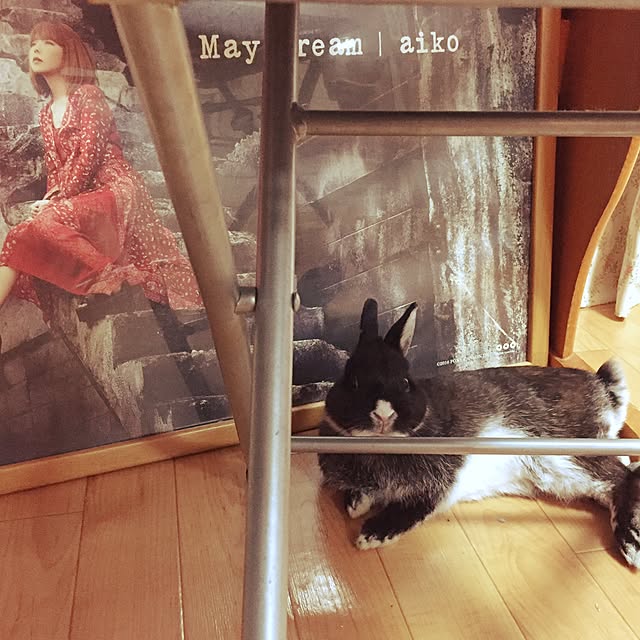 sei.hugさんの実例写真