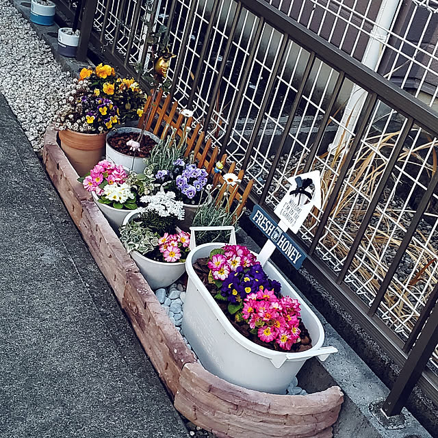 pomさんの実例写真